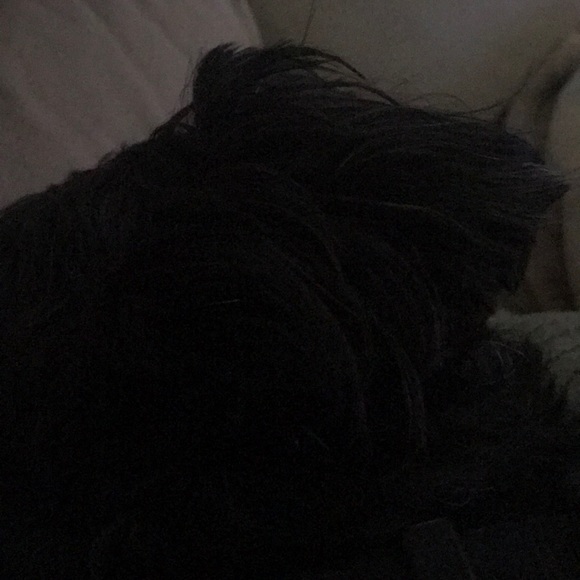 Meet your Posher, Sabrina - Picture 1 of 1